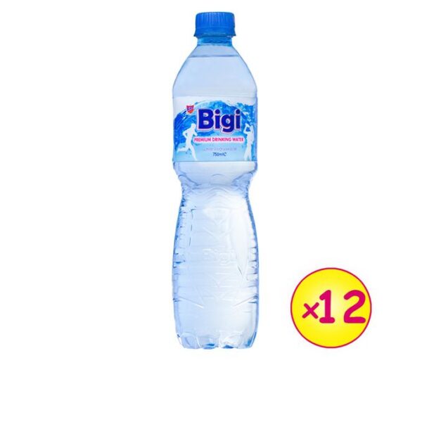 BIGI WATER