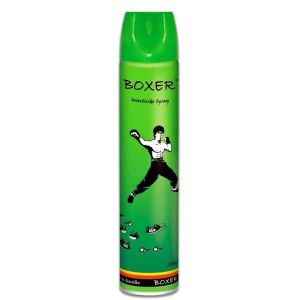 BOXER INSECTICIDE SPRAY – 600ml