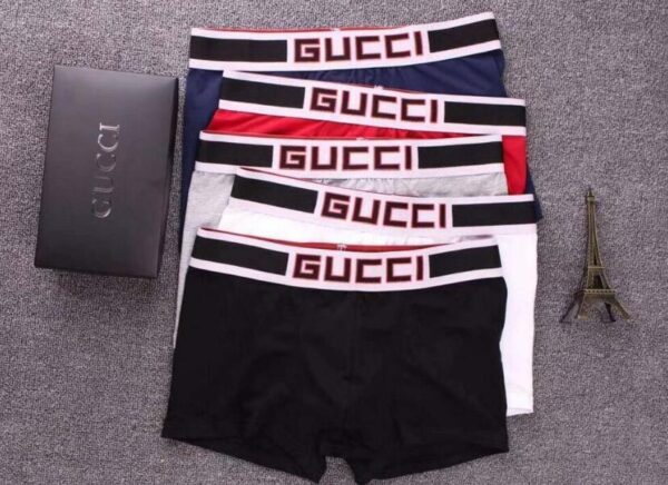 3 in 1 Gucciboxer